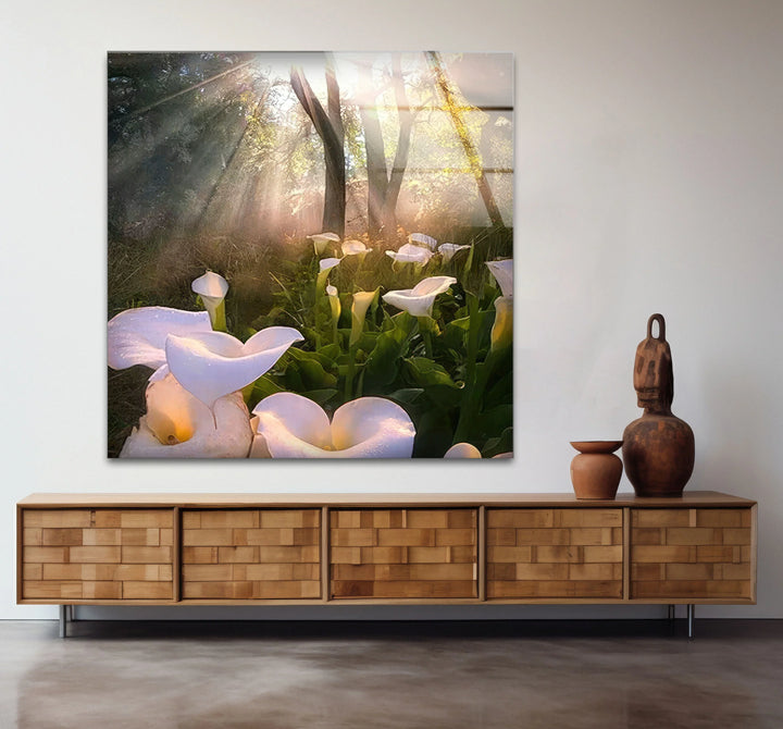 White Lily Forest Wall Art – Sunlit Flower Glass Print, Peaceful Botanical Nature Decor for Bedroom or Living Room - MyPhotoStation