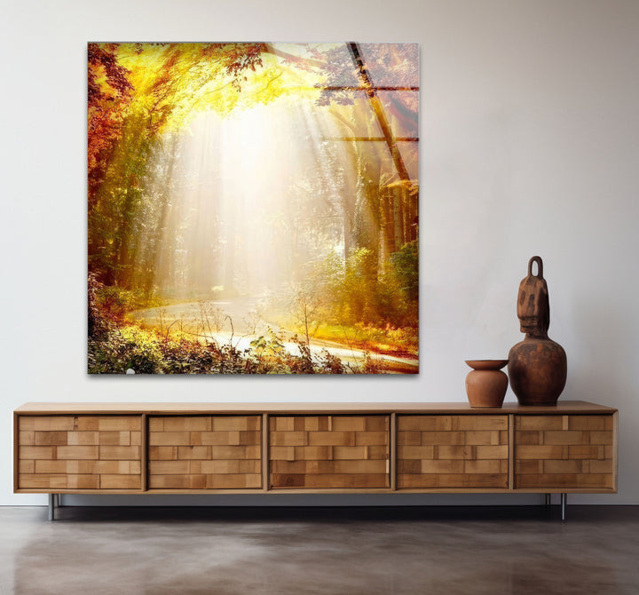 Golden Forest Sunbeam Wall Art – Radiant Nature Glass Print for Warm Home Decor - MyPhotoStation