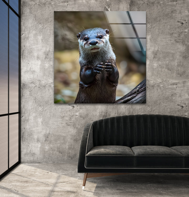 Cute Otter Glass Wall Art photo print on glass, prints on glass wall art