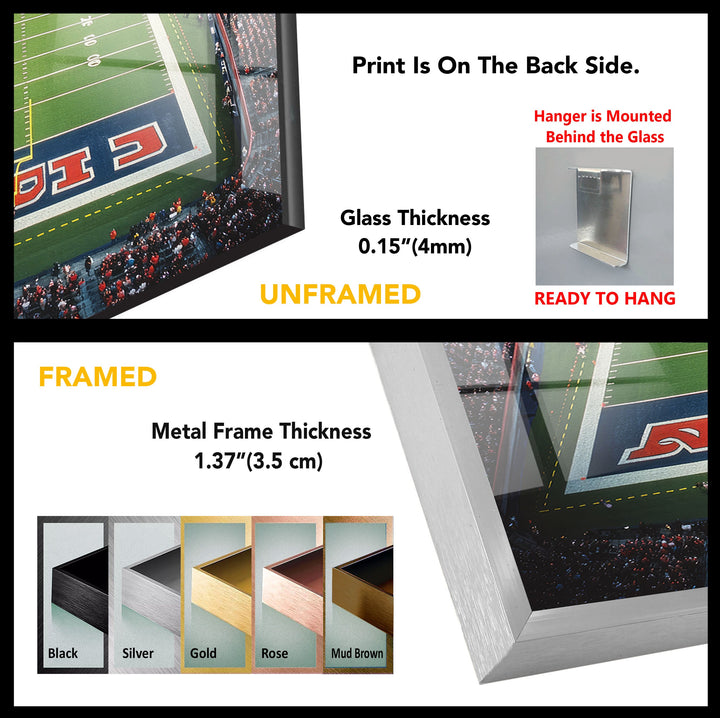 Stadium of NFL Glass Wall Art