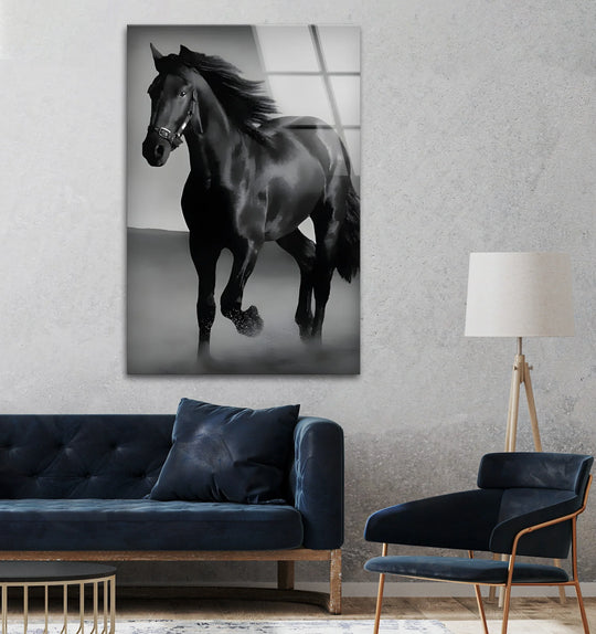 Animal black and white horse photography wall art captures a powerful black stallion with beauty and strength a stunning horse wall art addition