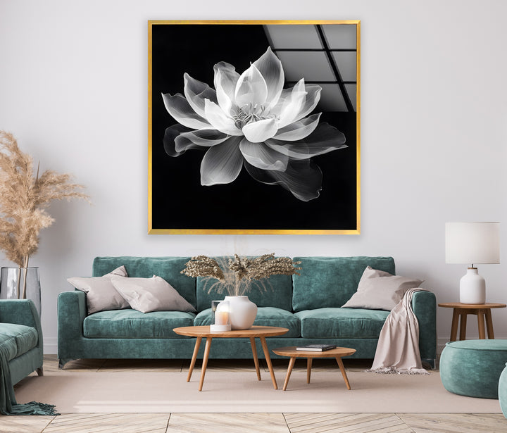 Delicate black-and-white lotus flower on glass, ideal for creating a peaceful focal point.

