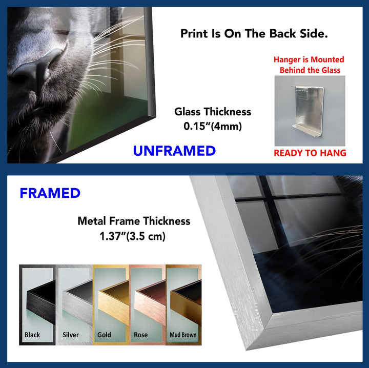 Black Puma Portrait Glass Wall Art