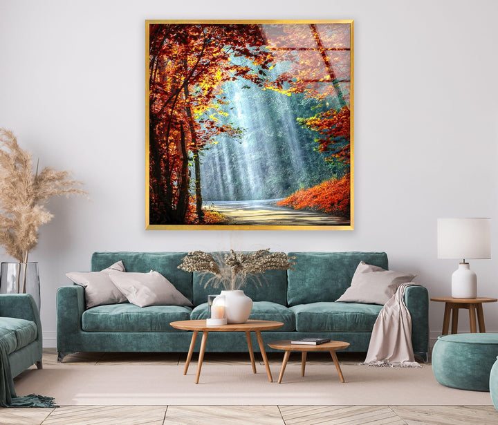 Enchanting woodland scene with a golden-hued trail illuminated by gentle sunlight.
