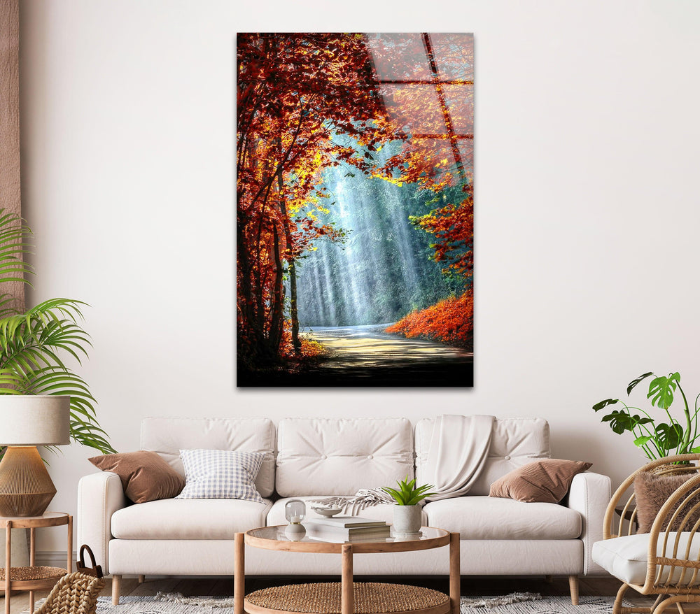 Serene forest path covered in vibrant fall foliage with rays of sunlight illuminating the scene.

