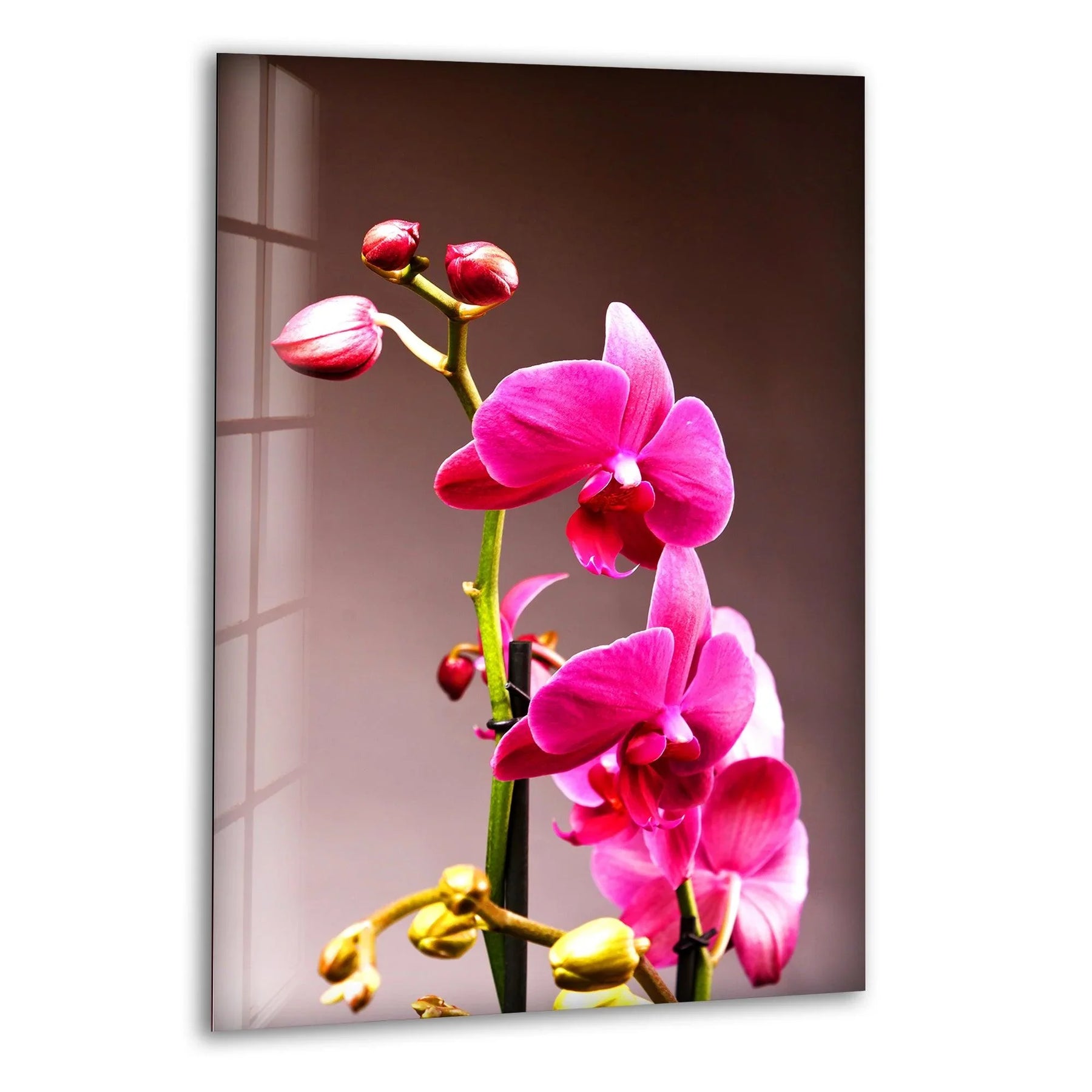 Vibrant pink orchid blooms and buds in this glass wall artwork create a stunning focal point.