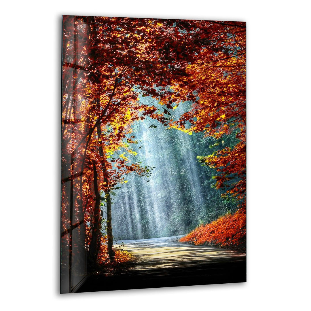 A breathtaking autumn pathway with golden leaves and sunlight streaming through the trees.
