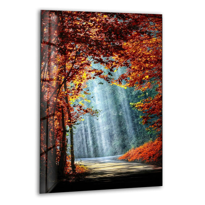 A breathtaking autumn pathway with golden leaves and sunlight streaming through the trees.
