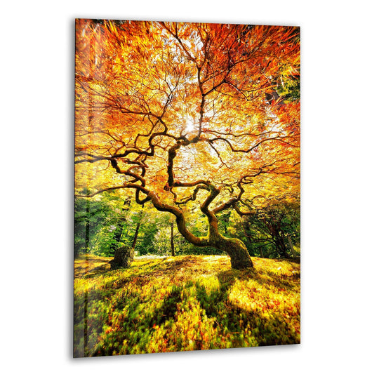 Featuring a shimmering surface texture, the 'Golden Autumn Tree' landscape art print on glass wall art decor offers a striking visual depth.