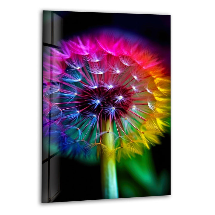 Rainbow Dandelion Glass Wall Art, print picture on glass, Tempered Glass Wall Art