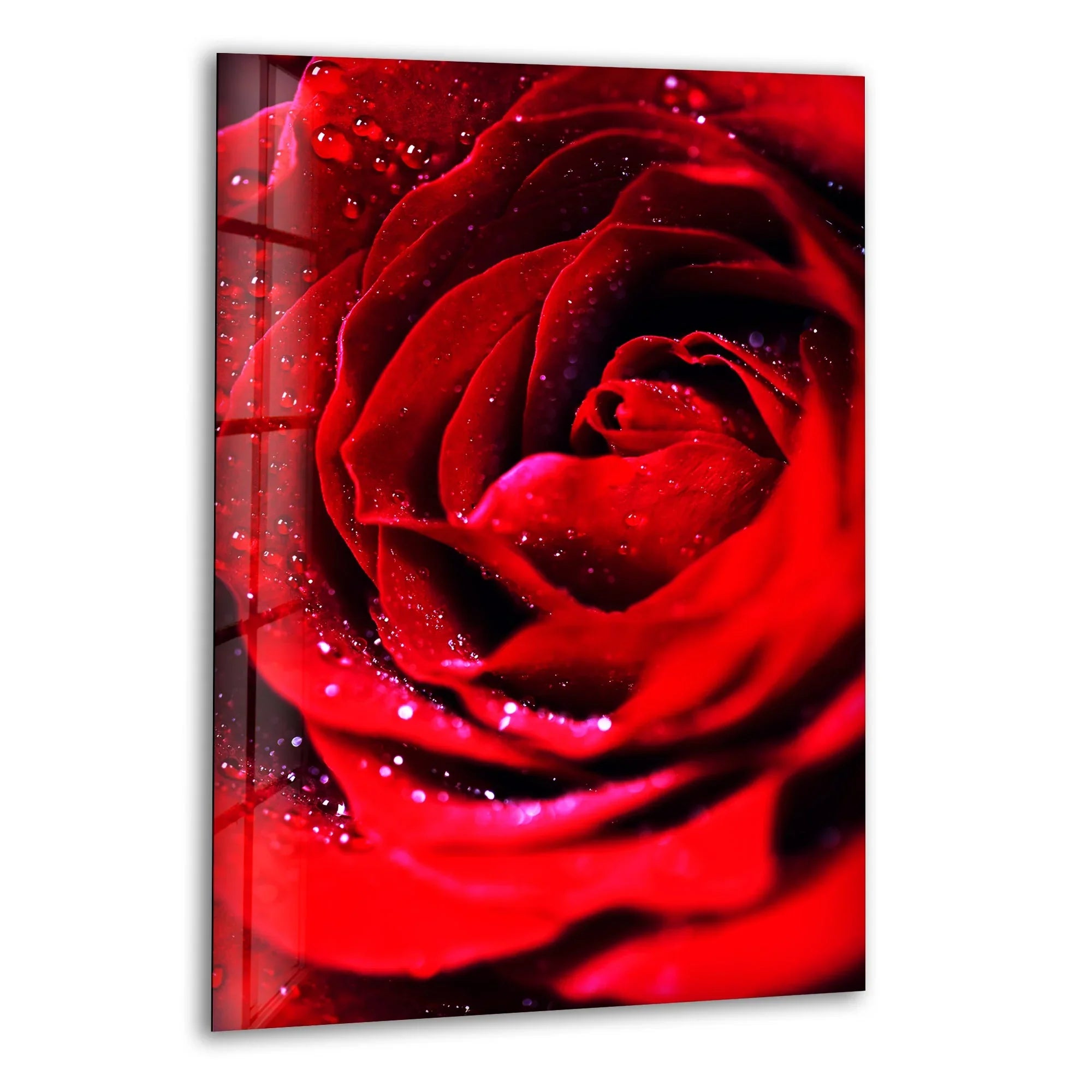 Red Rose With Water Drops Glass Wall Art – Romantic Charm – MyPhotoStation