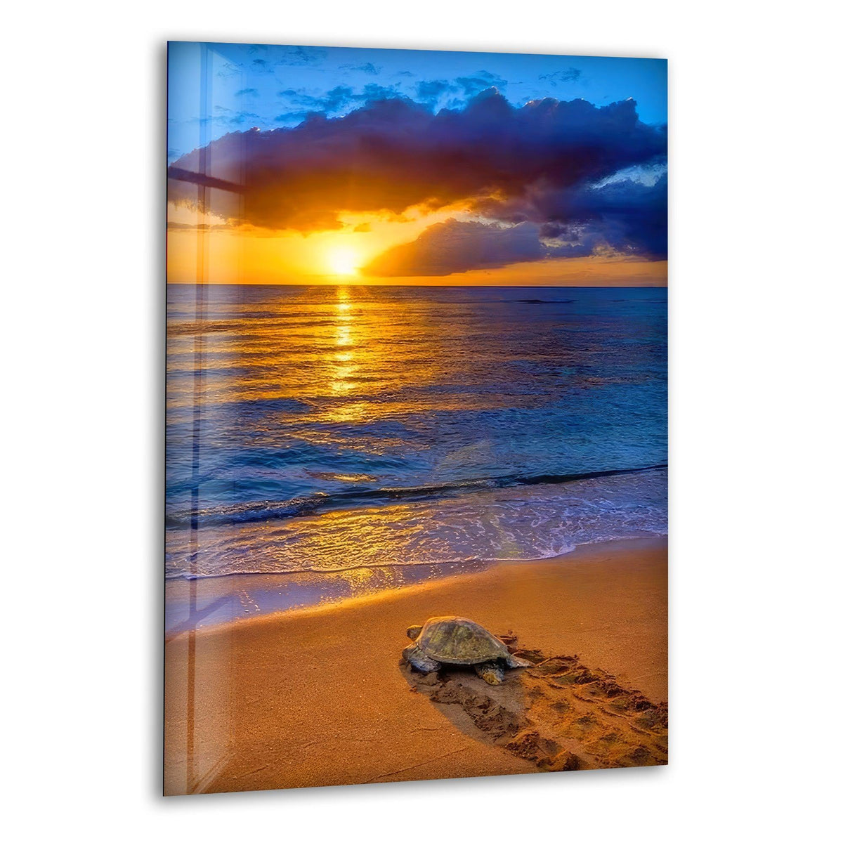 With the realistic detail showcased, see the vibrant sunset and sea turtle captured in this tempered glass wall art, a beautiful depiction of coastal nature.