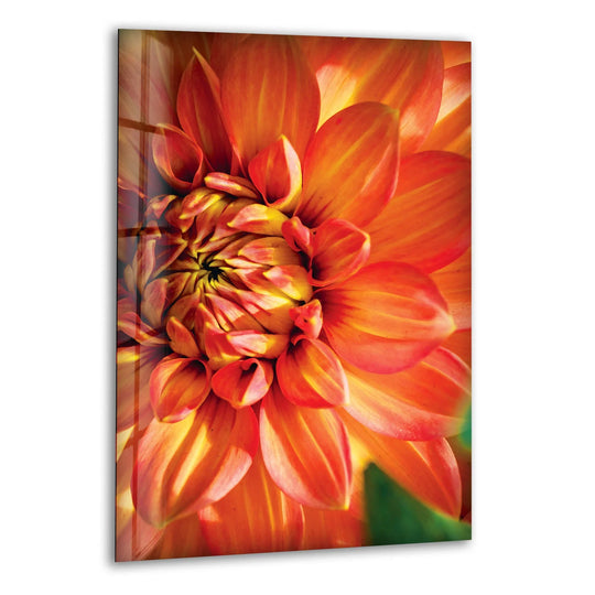 Radiating outward, the closeup vivid red flower glass wall art gives a dynamic sense of movement with its fiery petals, enhancing any home decoration.