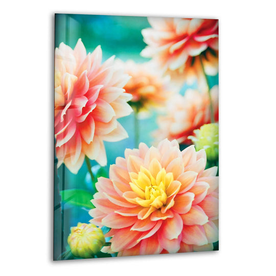 Undulating petals showcase the organic forms of dahlia flowers in this tempered glass wall art, creating a visually captivating floral scene.