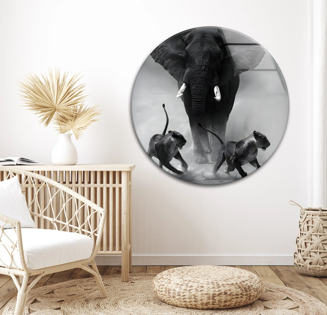 Black and white animal chase scene on glass with a bold elephant and two lions.