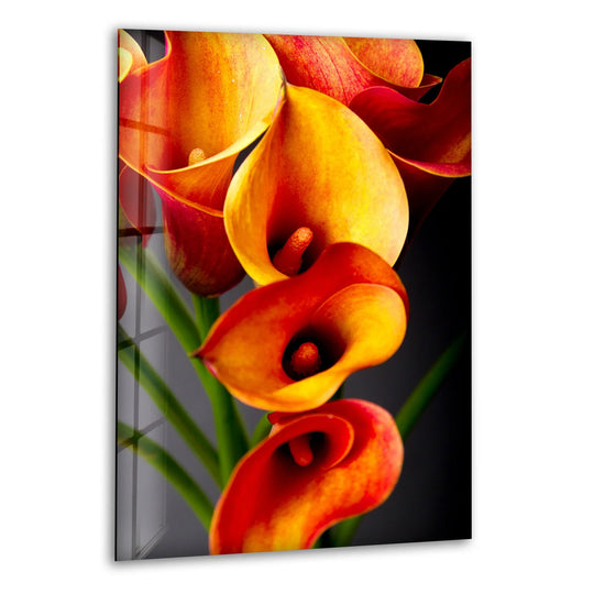 Bold orange and deep red calla lilies pop against a dark background, a stunning example of color contrast in home decoration.