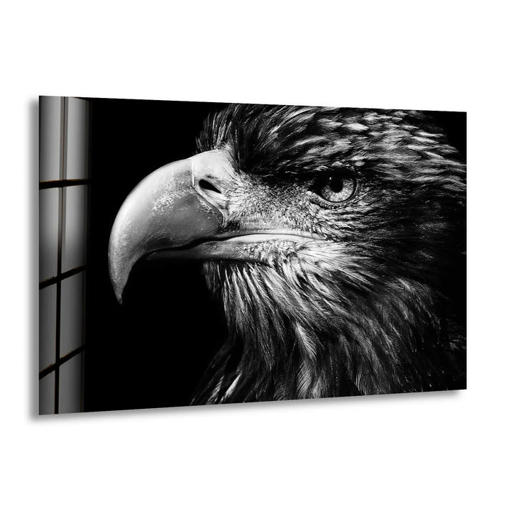 Majestic eagle portrait in black and white with sharp details on modern glass wall art.