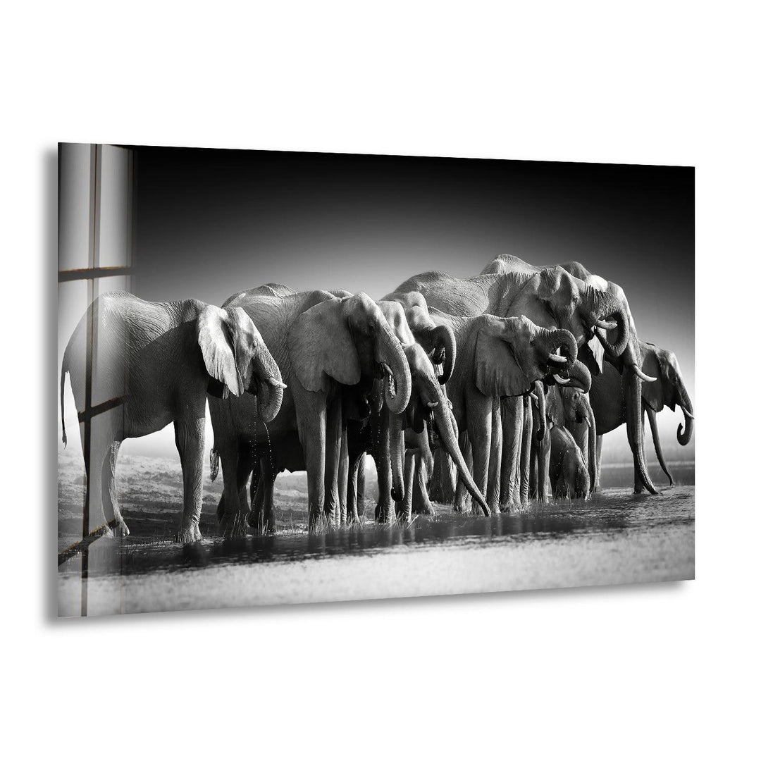 Black and white glass wall art featuring a herd of elephants gathered at a water’s edge.