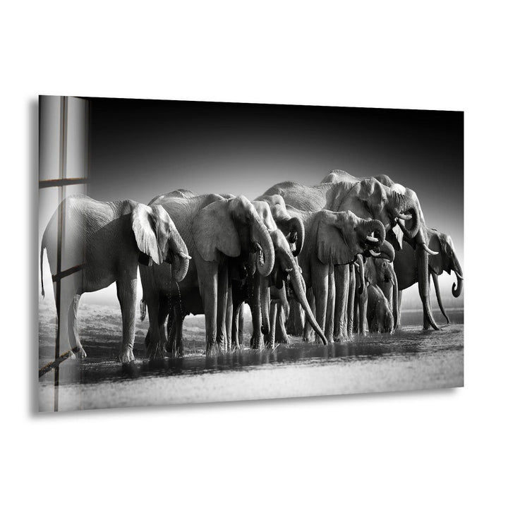 Black and white glass wall art featuring a herd of elephants gathered at a water’s edge.