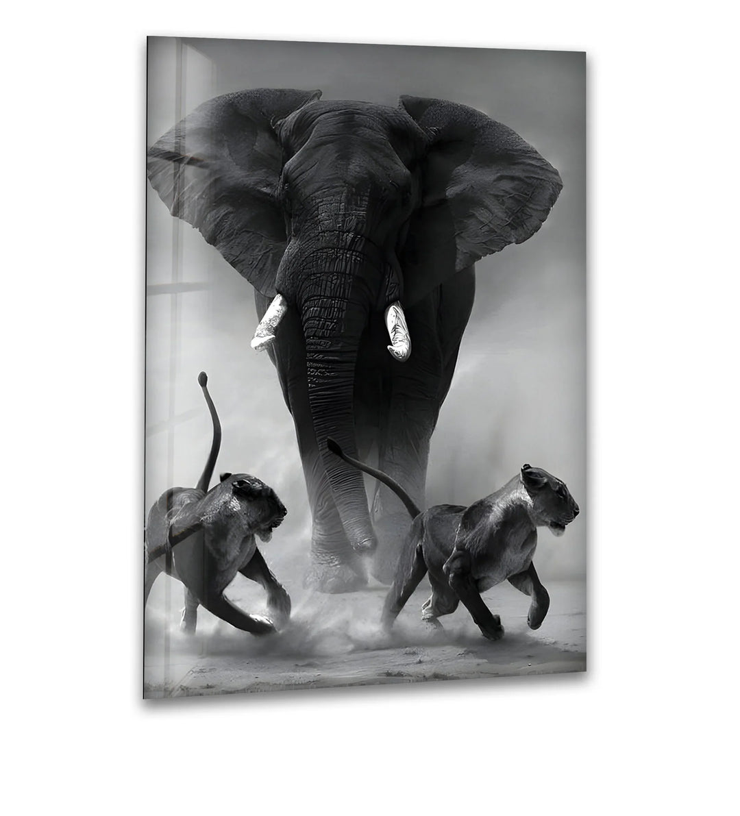 Black and white glass wall art of a powerful elephant charging as two lions run through dust.