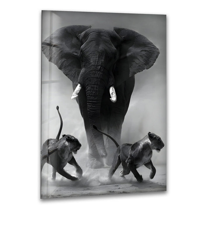 Black and white glass wall art of a powerful elephant charging as two lions run through dust.