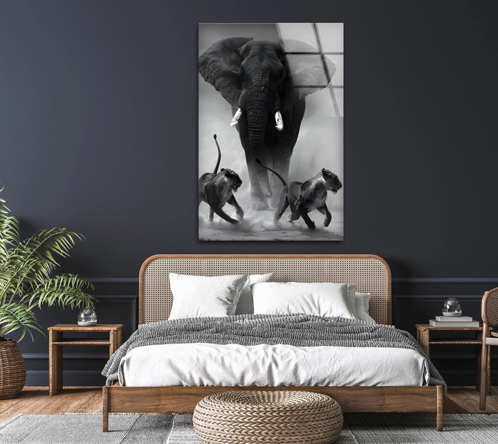 Intense wildlife artwork printed on glass featuring a massive elephant and two sprinting lions.
