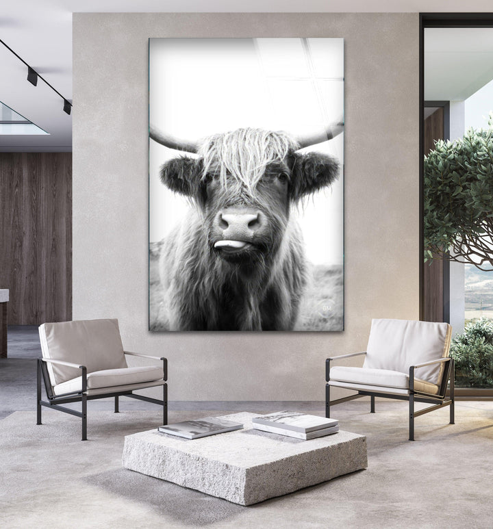 Grayscale Highland cow portrait on tempered glass with soft background and expressive features.
