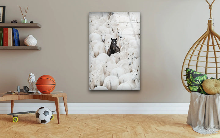 High-contrast glass wall art depicting one black horse standing out in a sea of white horses.