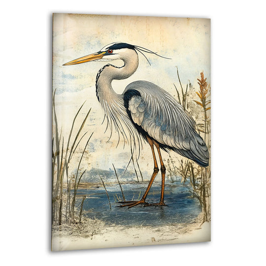 Marshland Poise – Vintage Heron Illustration Glass Wall Art - MyPhotoStation