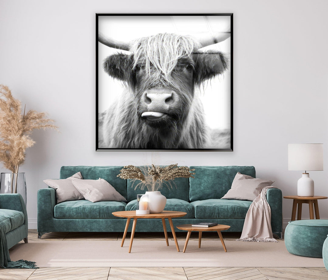 Black and white rustic animal portrait on glass depicting a Highland cow with long bangs and curved horns.