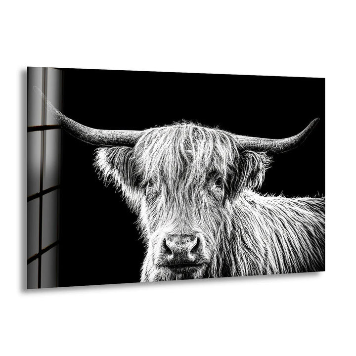 Modern monochrome cow portrait presented in detailed black and white on glass.