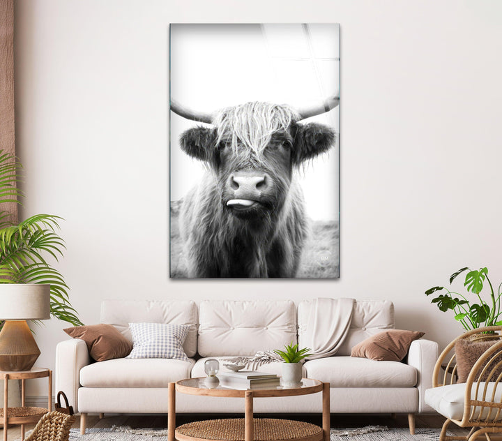 Close-up black and white Highland cow printed on glass with natural details and rustic charm.
