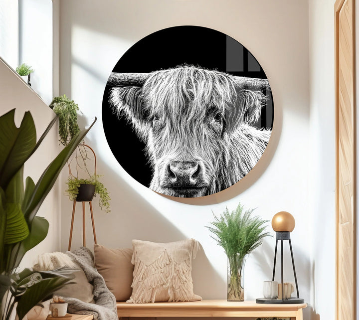 Dark-background monochrome art showing a detailed furry highland cow on tempered glass.