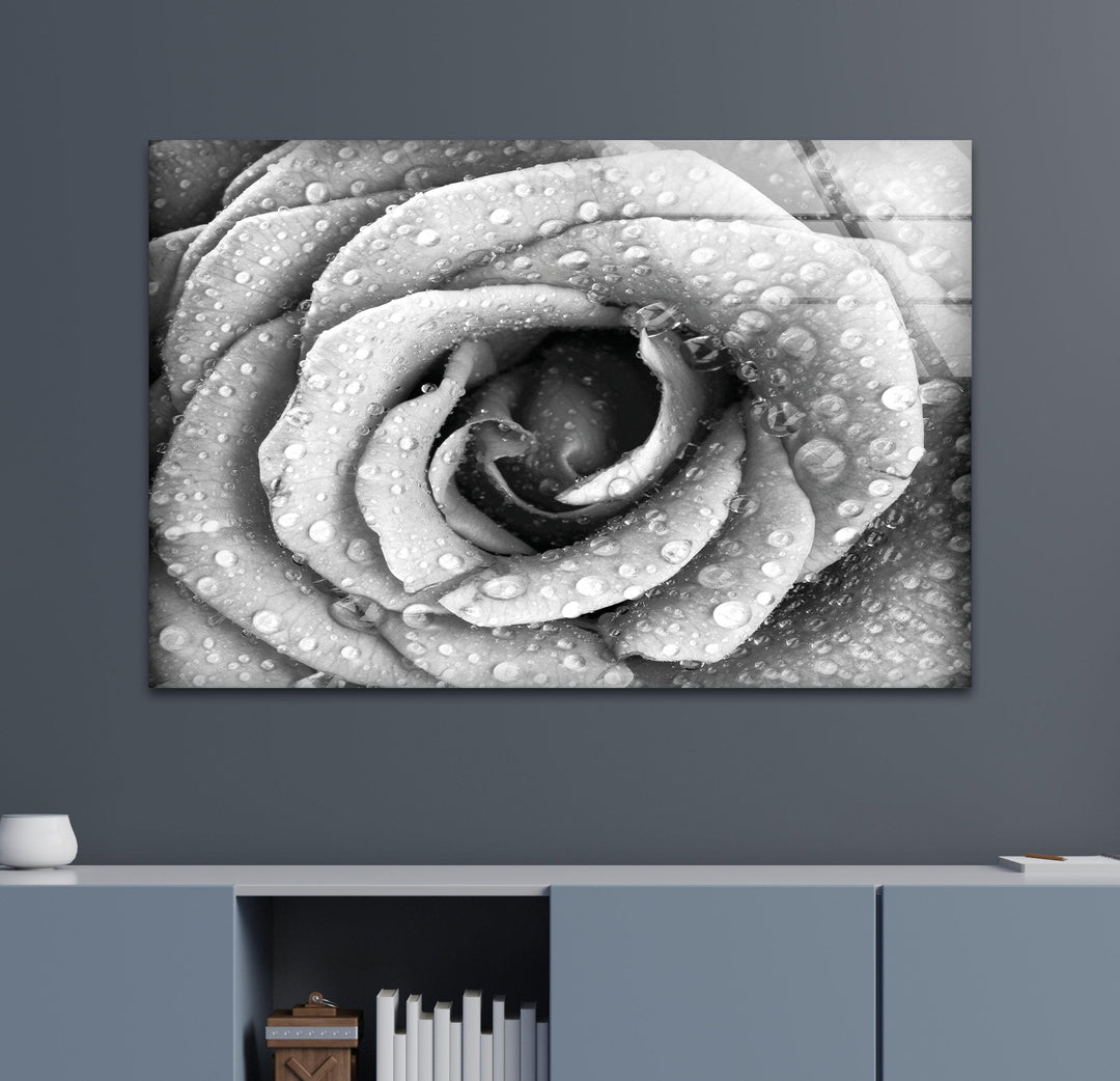 Black and White Rose Glass Wall Art, custom glass photo prints, large glass prints