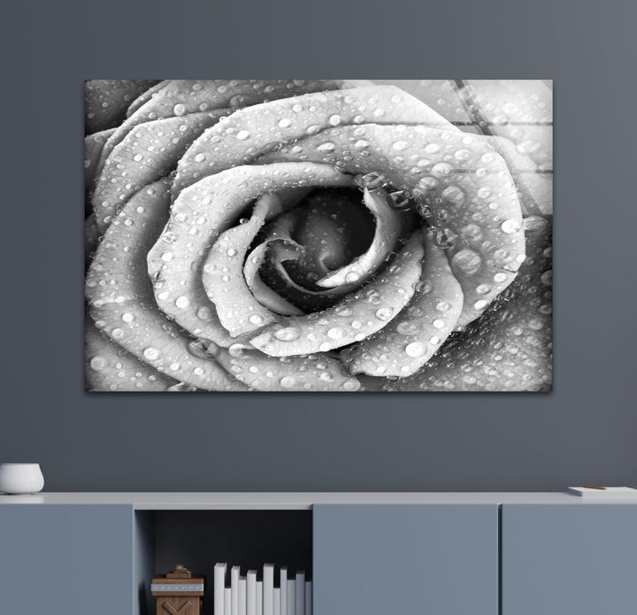 Black and White Rose Glass Wall Art, custom glass photo prints, large glass prints