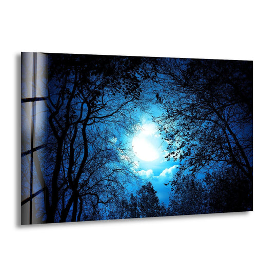 Mysterious night forest glass wall art shows a glowing moon through dark trees and night forest and makes great forest landscape art and landscape wall decor
