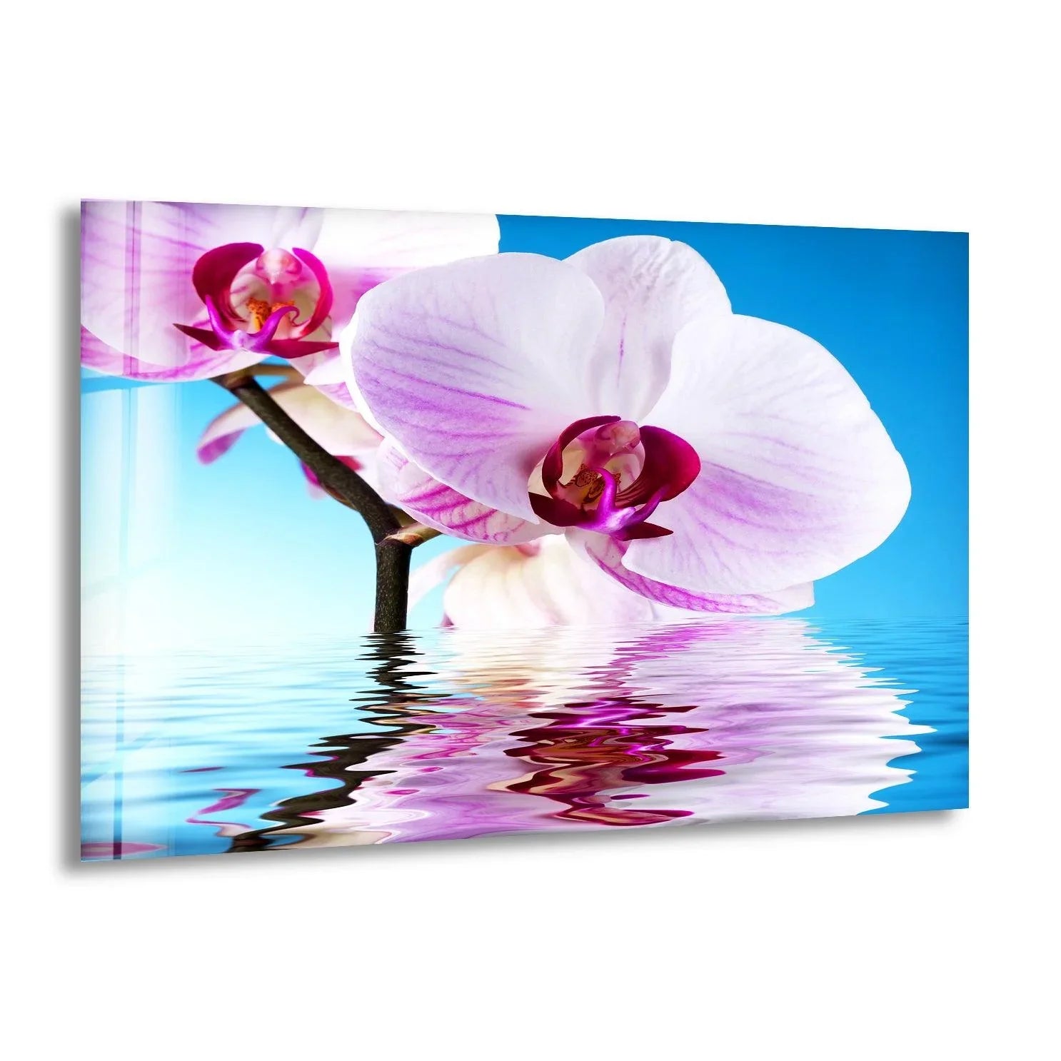 Vibrant print wall art showcasing white and pink orchids with intense color saturation reflected in rippling water.
