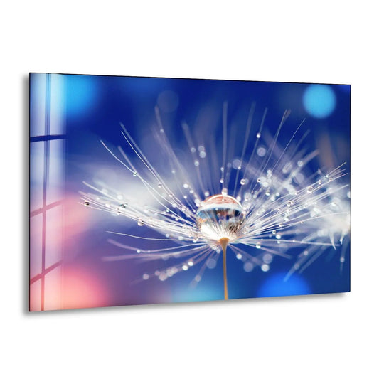 A single water droplet rests on the softest dandelion seed, a close-up tempered glass wall art.