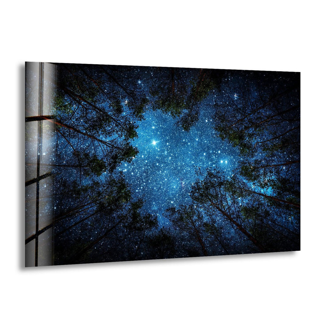 Nature art prints filled with vibrant colors and intricate details celebrating the beauty of the wild


