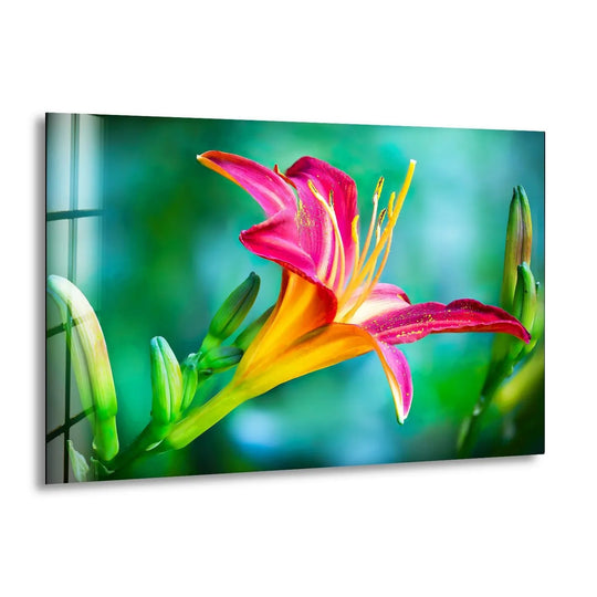 Closeup pink lily tempered glass wall art showcasing layered petals and buds against a bokeh background.