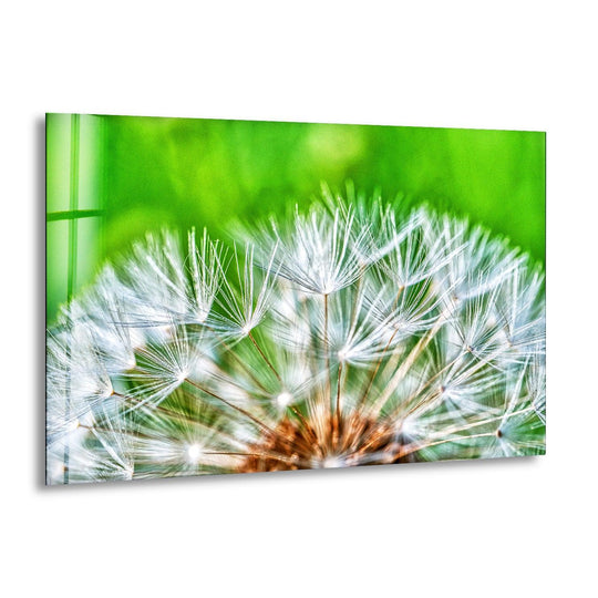 Vibrant green hues dominate this close-up of a dandelion seed head, featured on striking glass wall artwork.