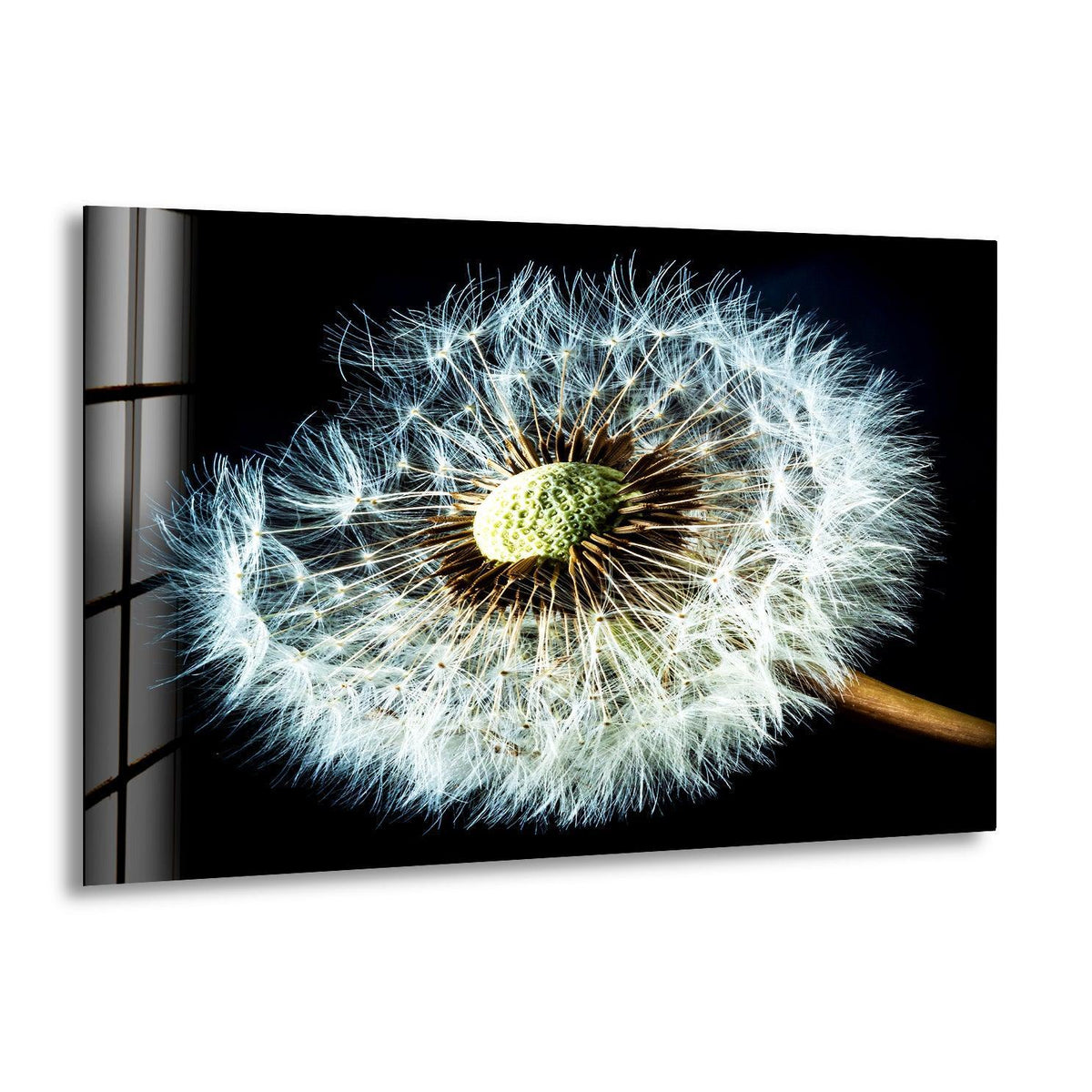 A close-up of a dandelion's white seeds transitions into a soft green center, creating a delicate glass art painting.