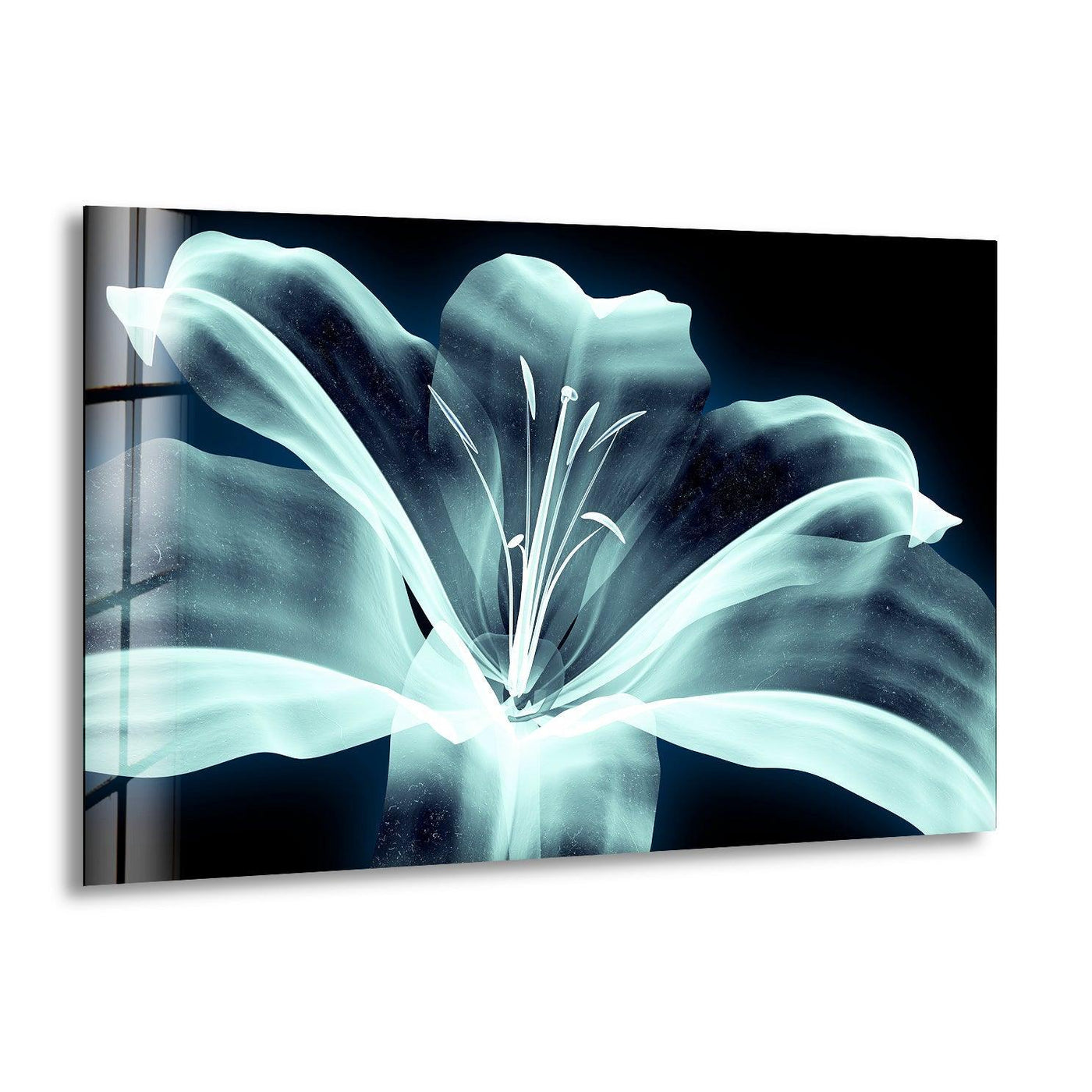 An abstract x-ray image of a luminous aqua flower glows on tempered glass wall art.