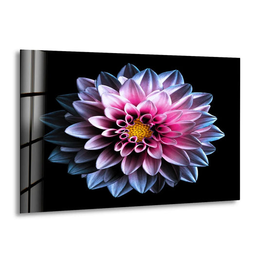 A close-up of a purple flower on a black background showcases the smooth surface texture of tempered glass wall art.