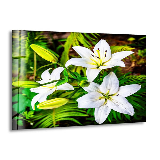 Vast negative space surrounds the crisp white lily blooms in this striking print wall art, creating a visually compelling botanical composition.