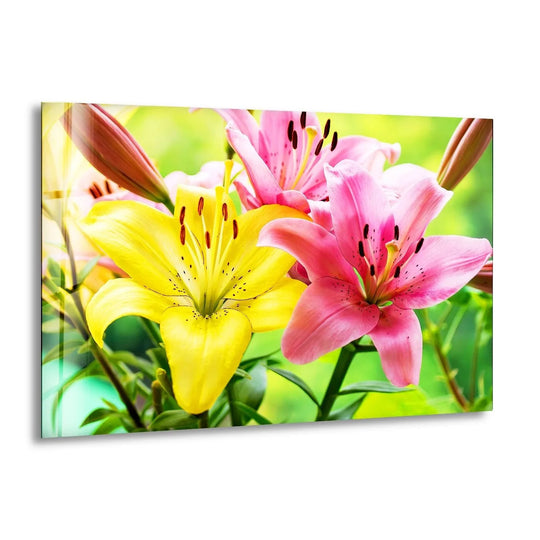 Yellow-Pink Lily Flower Glass Wall Art, print picture on glass, Tempered Glass Wall Art