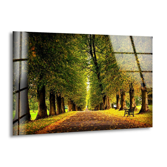 Landscape glass wall art shows a tree lined path with autumn leaves and is a nature forest scene and a nature painting for sale