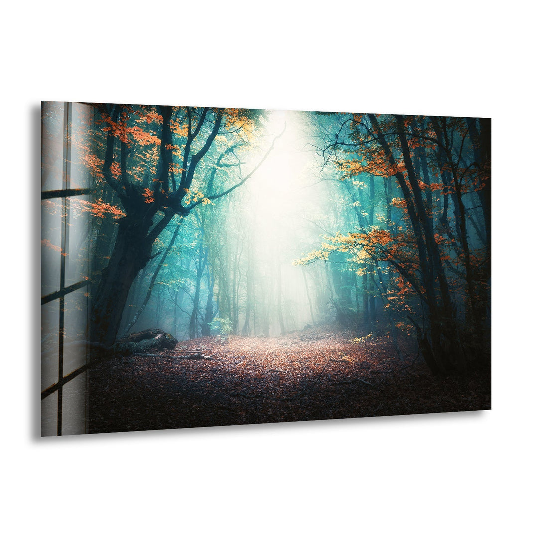 Misty Forest Sunlight Glass Wall Art – A Serene Woodland Escape
