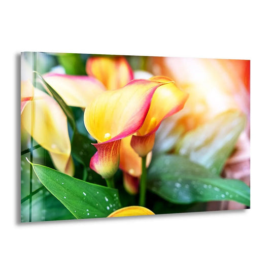 Stillness captures the serene beauty of colorful calla lilies in this vibrant tempered glass wall art.
