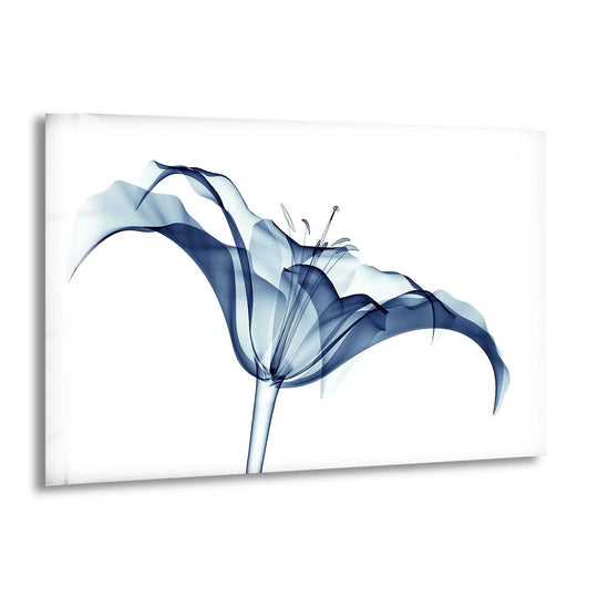 An ethereal X-ray amaryllis flower glows with soft blue hues in this striking hanging wall art.